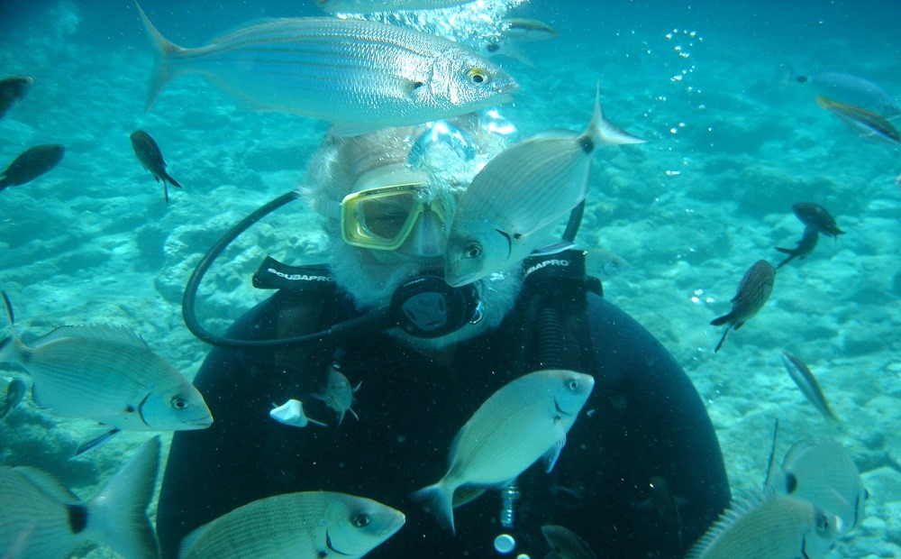 Bodrum Dalış Turu / 2026