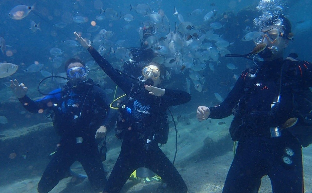 Bodrum Dalış Turu / 2026