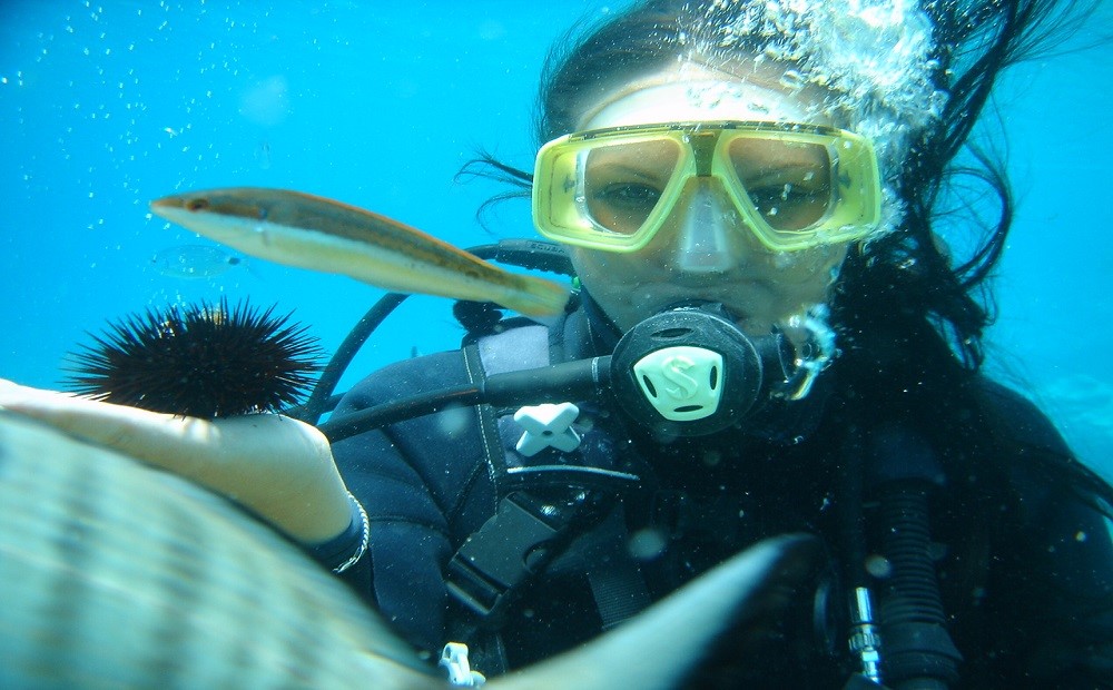 Bodrum Dalış Turu / 2026