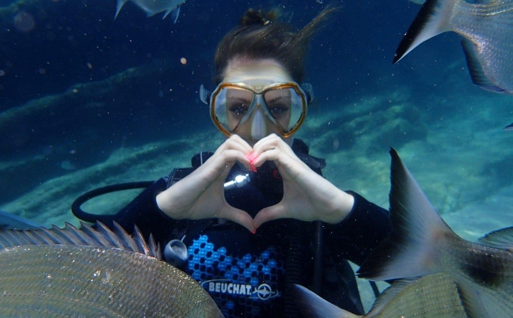 Bodrum Dalış Turu / 2026